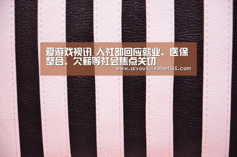 爱游戏视讯_人社部回应就业、医保整合、欠薪等社会焦点关切(图2) 爱游戏视讯