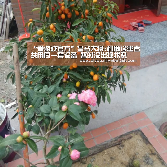 “爱游戏官方”皇马大将:和确诊患者共用同一套设备 暂时没出现状况(图2) 爱游戏视讯