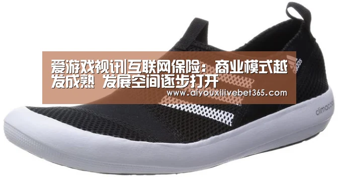 爱游戏视讯