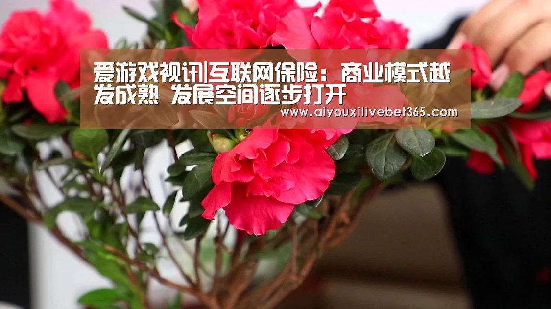 爱游戏视讯