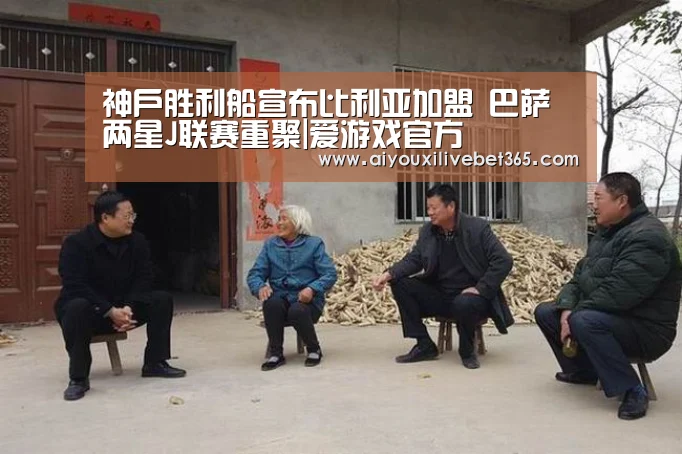 爱游戏视讯