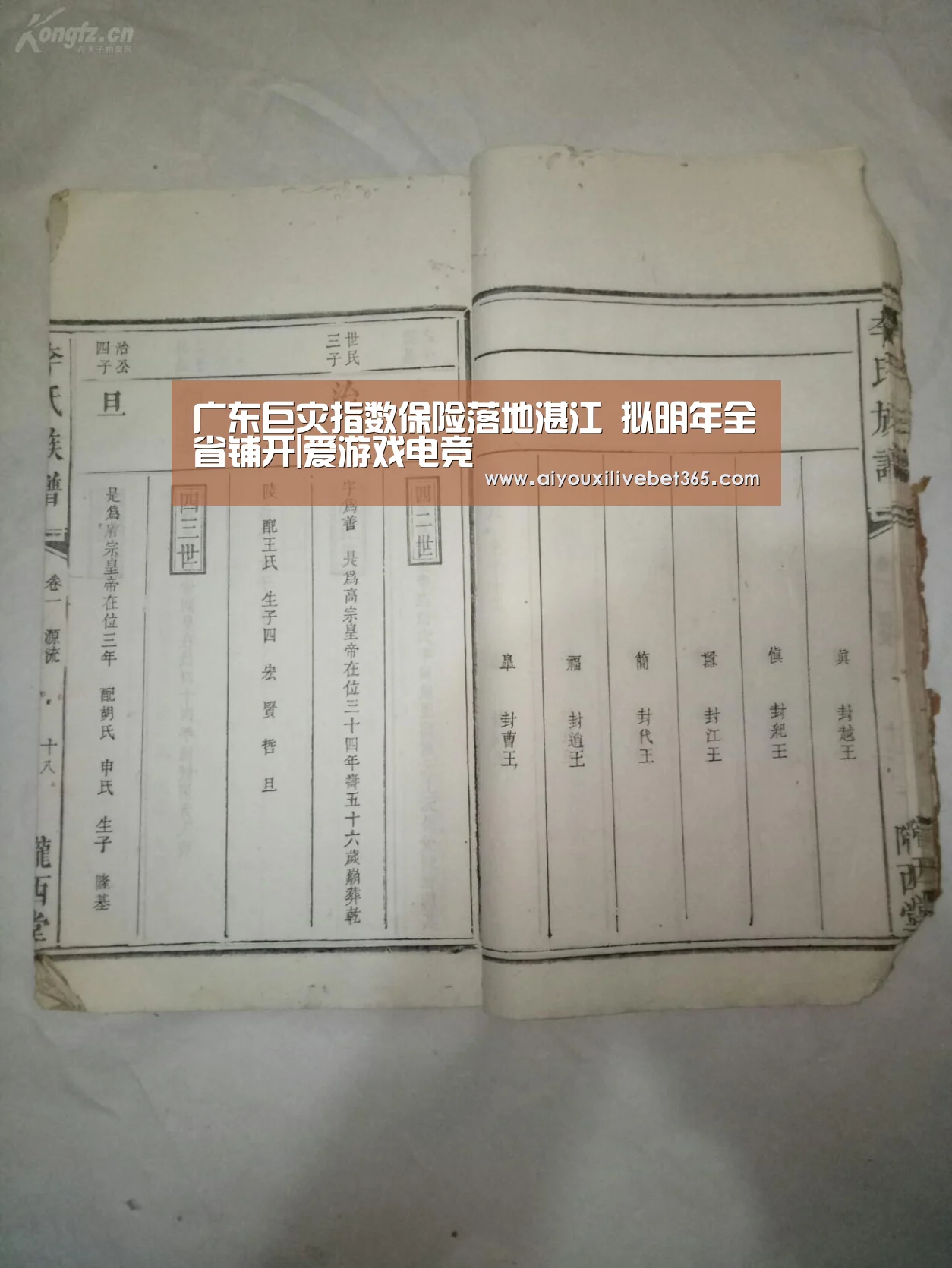 广东巨灾指数保险落地湛江 拟明年全省铺开|爱游戏电竞(图1) 爱游戏视讯
