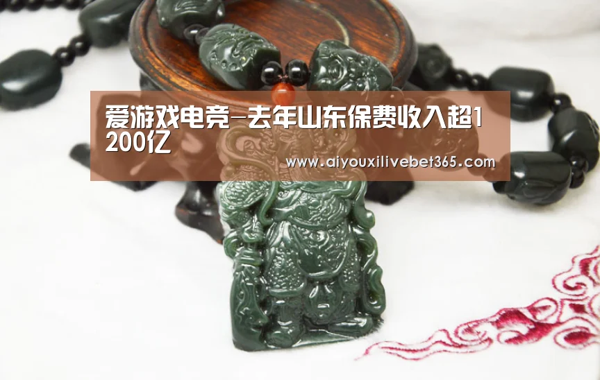 爱游戏电竞-去年山东保费收入超1200亿(图3) 爱游戏电竞