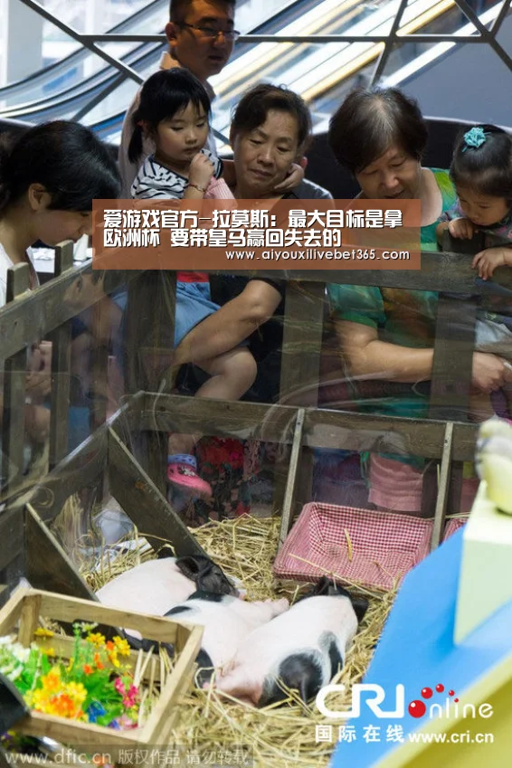 爱游戏官方-拉莫斯:最大目标是拿欧洲杯 要带皇马赢回失去的(图1) 爱游戏竞猜