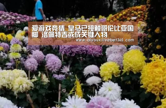 爱游戏竞猜_皇马已接触哥伦比亚国脚 洛佩特吉或成关键人物(图2) 爱游戏竞猜