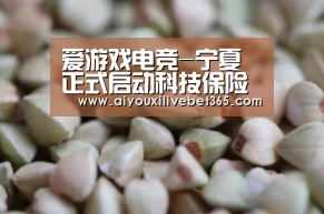 爱游戏电竞-宁夏正式启动科技保险试点工作(图2) 爱游戏电竞