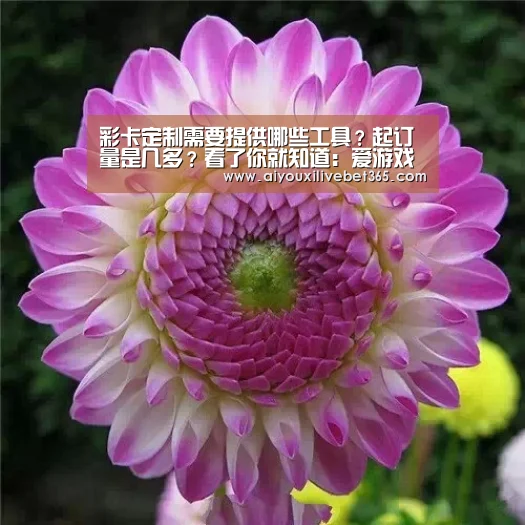 彩卡定制需要提供哪些工具?起订量是几多?看了你就知道:爱游戏竞猜(图4) 爱游戏电竞