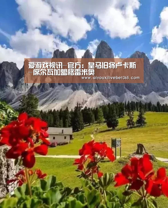 爱游戏电竞